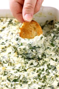 spinach dip in a white bowl with a cracker being dipped into the dip