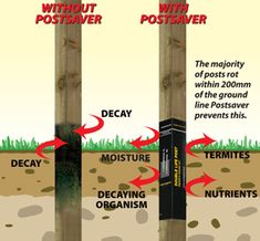 three poles with different types of soil and plants on them, labeled in red arrows