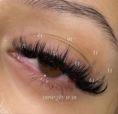 Best Lash Extensions, Eyelash Tips, Eyelash Technician, Lash Extensions Styles