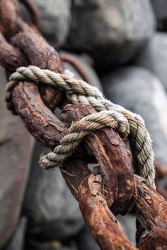 a close up of a rope on some rocks