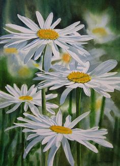 a painting of white daisies with yellow centers in the foreground and green background