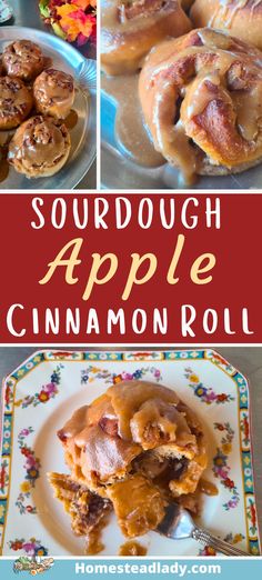 sourdough apple cinnamon roll on a plate with a fork Cosy Meals, Cinnamon Roll Glaze, Sourdough Apple, Fall Apple Recipes, Cinnamon Breakfast, Apple Cinnamon Rolls, Cinnamon Roll Dough, Breakfast Rolls, Warm Breakfast