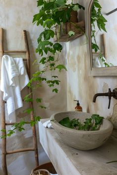 a bathroom sink sitting under a mirror next to a potted plant in a bowl