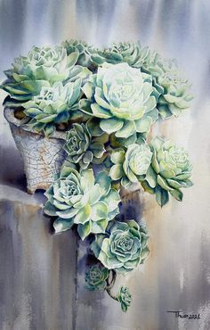 a painting of succulents in a pot on a ledge