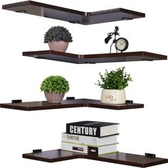 three shelves with plants and books on them