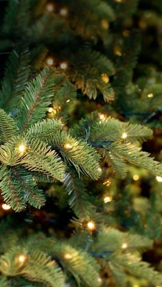 a close up view of the branches of a christmas tree with bright lights on it