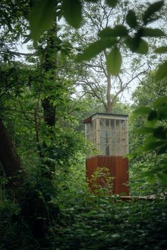 a small wooden structure in the middle of trees and bushes, surrounded by greenery