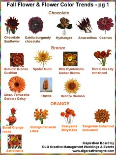 an image of flowers and their names