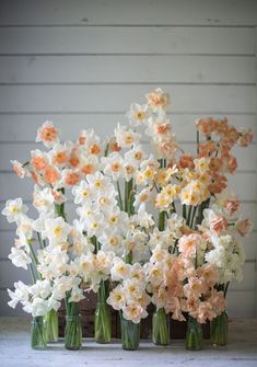 several vases filled with white and orange flowers