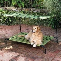 a dog sitting on top of a green bed in the middle of a brick patio