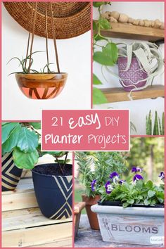 some planters that have plants in them and the words, 21 easy diy planter projects