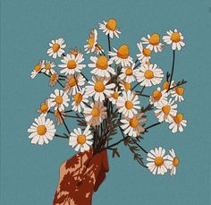 a hand holding a bouquet of daisies against a blue background