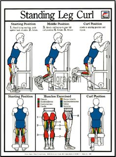 the standing leg curl is shown with instructions for how to do it and how to use it