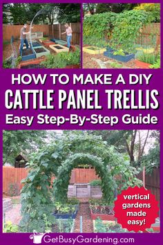 a huge arch in a garden with vining plants growing all the way around it and over it Trellis For Garden Bed, How To Build A Vertical Garden, Diy Arch Garden Trellis, Climbing Vegetables Trellis, Cattle Panel Fence Garden, Garden With Trellis Arch, Vegetable Tunnel Ideas, Plants That Need Trellis, Squash Arch Diy