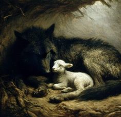 Wolf And Lamb Aesthetic, Wolf And Sheep Art, Wolf And Deer Art, Raven Oil Painting, Two Headed Lamb Drawing, Conceal And Reveal Art, Wolf And Lamb Art, Lamb Aesthetic Dark, Animal Folk Art