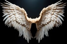 the wings of an angel are spread out