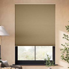 a living room with a large window covered in blinds and a plant next to it