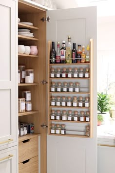 an open pantry with spices and condiments in it