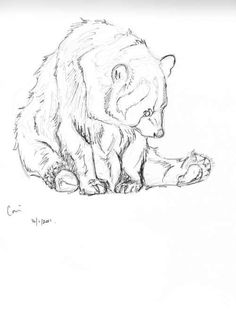 a drawing of a bear sitting on the ground with its paw in it's mouth