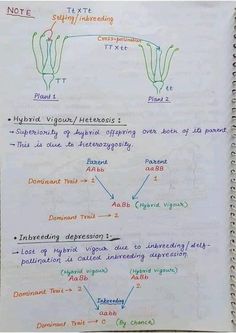 Hybrid vigour inbreeding depression Chromosome and genetics biology Hand written Notes by best chemistry teacher Sir Asadullah Mastoi Human Eye Diagram, Eye Diagram, Tissue Types