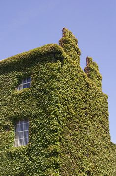 a tall building covered in lots of green plants