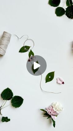 flowers and twine on a white surface