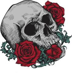 a skull with roses on it's head in black and red colors stock photo