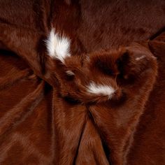 a brown and white animal fur with stripes on it's back, laying down