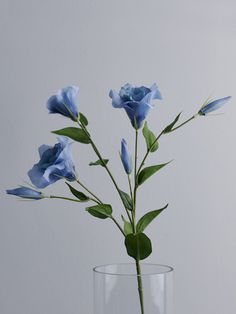 Pale Blue Lisianthus Flowers & Foliage BRISSI Blue Lisianthus, Zestaw Ikon, Baby Blue Aesthetic, Light Blue Aesthetic, Blue Aesthetic Pastel, Blue Tulips, Light Blue Flowers, Bleu Pastel, Wedding Tables