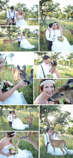 the bride and groom are posing for pictures with their deer