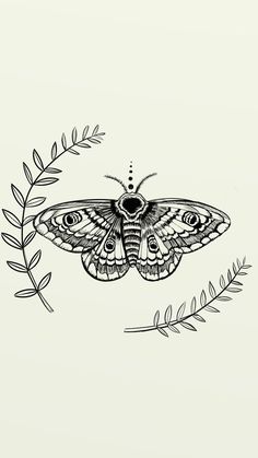 a black and white drawing of a moth