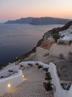 the sun is setting over an ocean and some buildings with flowers in front of them