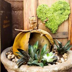 a planter filled with lots of succulents next to a wooden fence