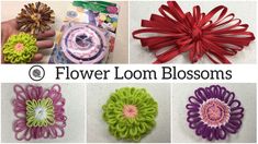 four different types of flower loom blossoms