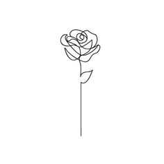 a single line drawing of a rose