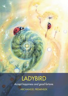 the cover of ladybird, with two ladybirds sitting on top of a flower