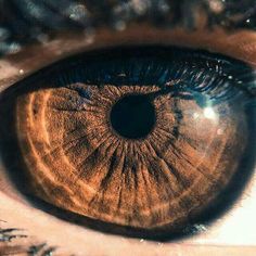 Uploaded by Zahraa A. Aljaleel. Find images and videos on We Heart It - the app to get lost in what you love. Brown Eyes Aesthetic, Eye Quotes, Eye Close Up, Brown Eyed Girls, Eye Photography, Aesthetic Eyes, Human Eye, Eyes Closed, Brown Aesthetic