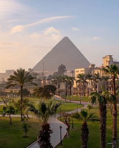 the giza pyramid is in the background with palm trees and buildings on either side