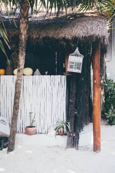 a birdcage hanging from a tree in front of a white fence and palm trees