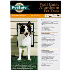 a dog standing in front of a wall entry door