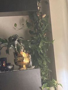 there is a potted plant on top of a shelf next to a mirror and other items