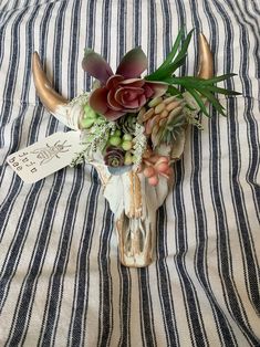 a cow's skull with flowers and succulents sits on a striped blanket