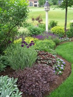 a garden filled with lots of different types of flowers