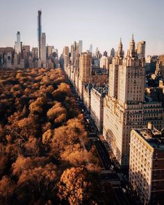 an aerial view of new york city with trees in the foreground