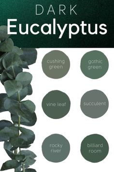 the dark eucalyptus plant with green leaves and white flowers on it is labeled in different colors