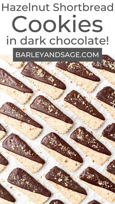 chocolate dipped shortbread cookies in dark chocolate with text overlay that reads, hazelnut shortbread cookies in dark chocolate