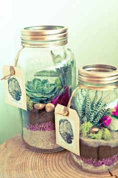 an image of two jars with plants in them