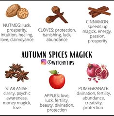 an image of autumn spices magick with the words, cinnamon, cloves, apple