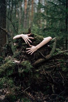 two hands touching each other on top of a moss covered tree stump in the woods