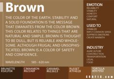 the color scheme for brown is shown in this graphic art work, which includes different colors and